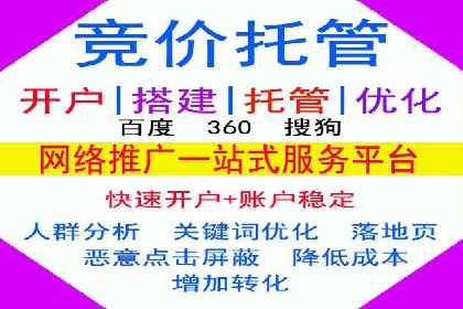 百度搜索推广实战经验：经典案例剖析